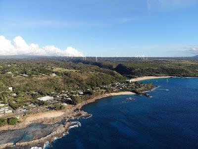 Sandee - Shark's Cove Beach