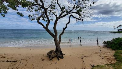 Sandee - Kiahuna Beach