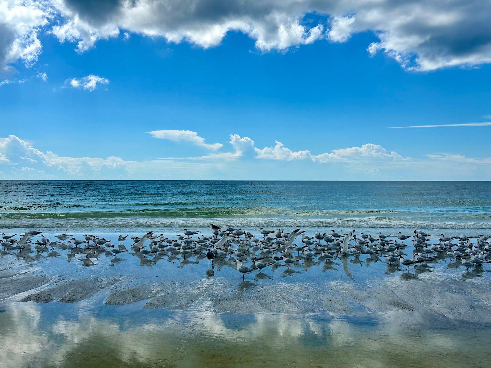 Sandee North Lido Beach Photo