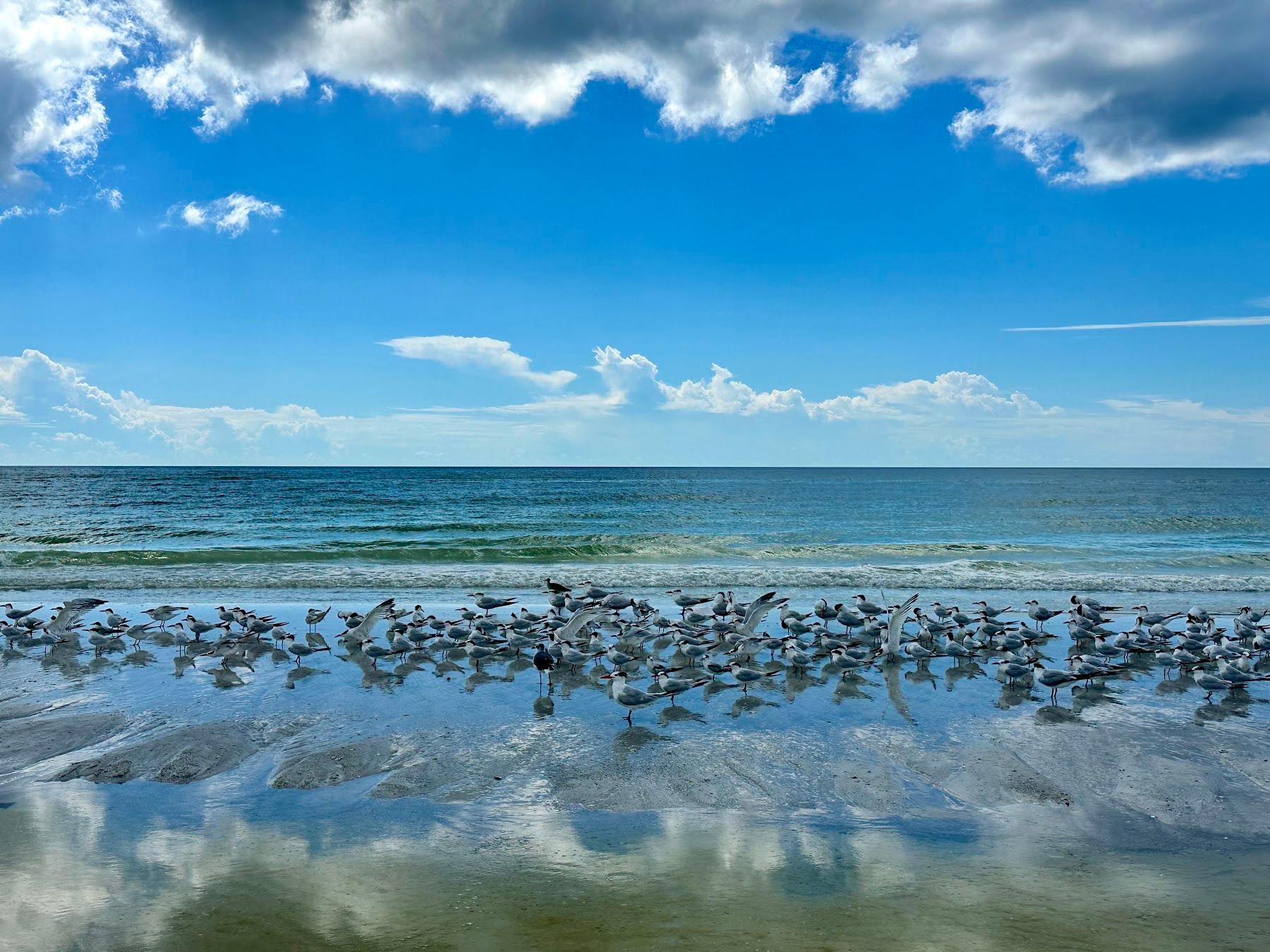 Sandee North Lido Beach