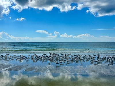 Sandee - North Lido Beach