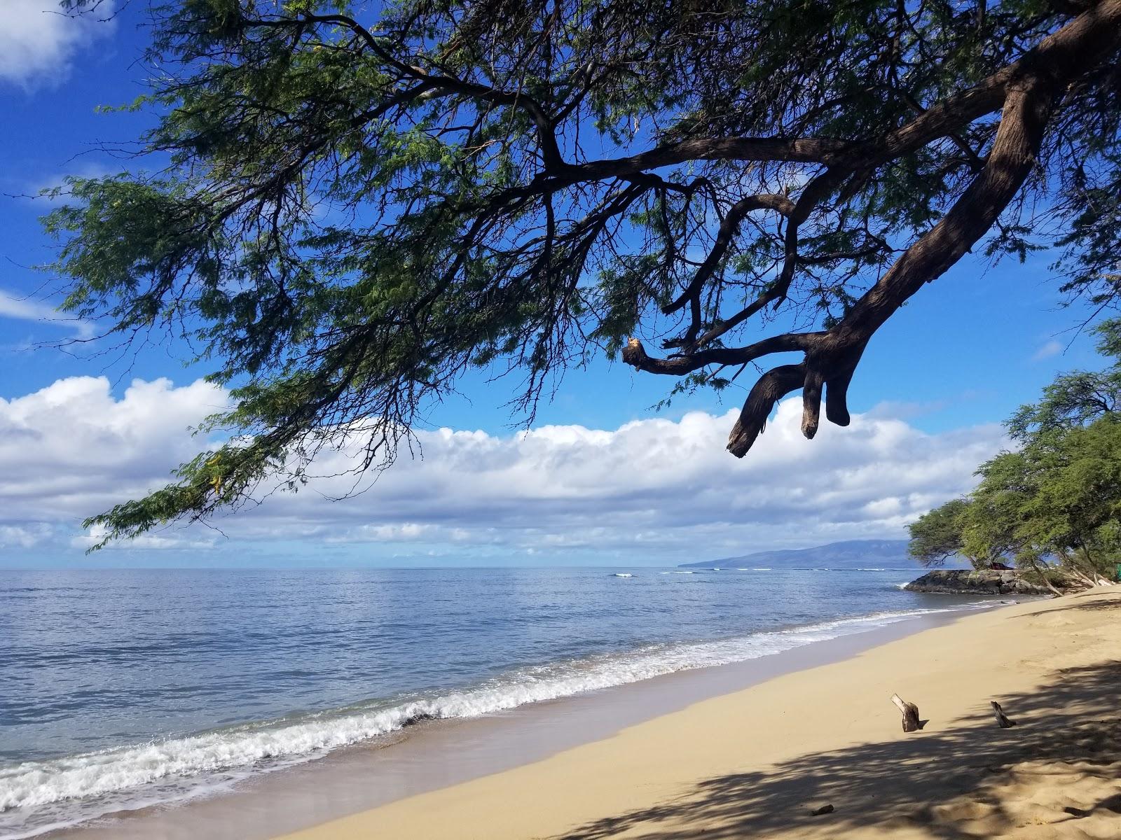 Sandee - Papalaua Beach Park