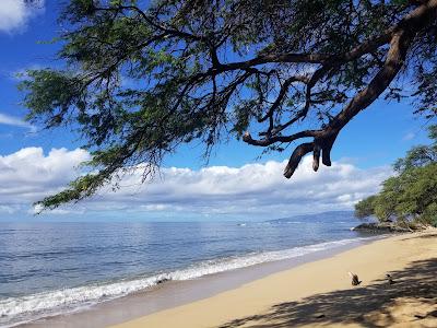 Sandee - Papalaua Beach Park