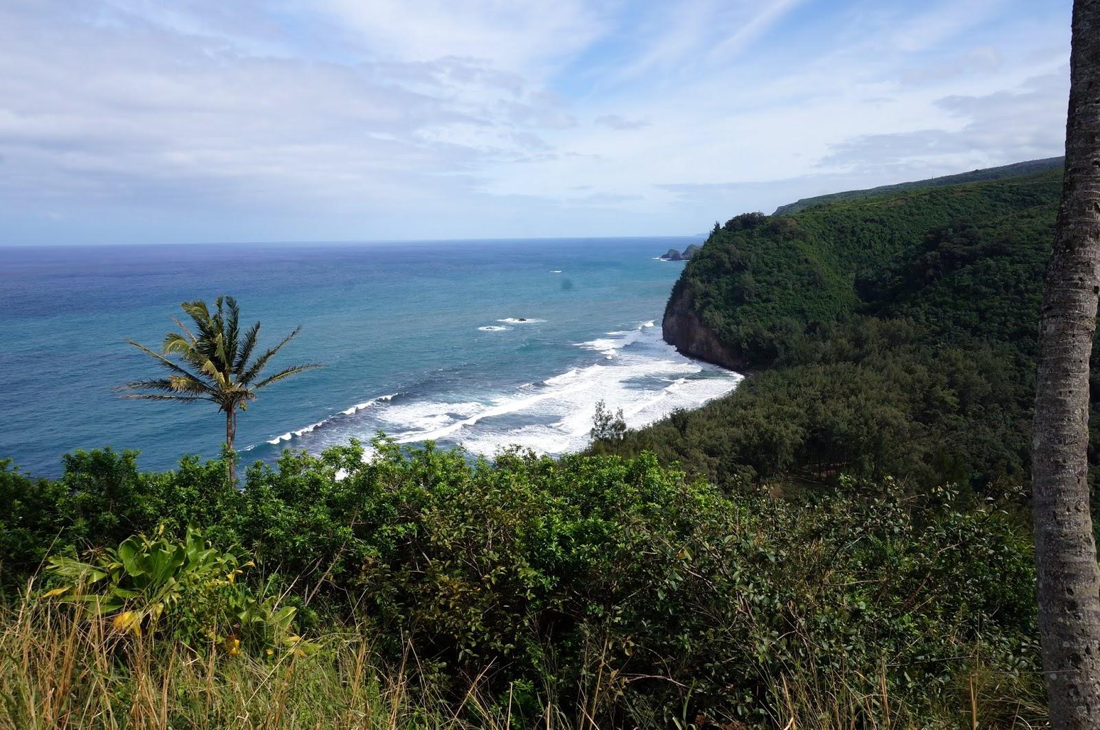 Sandee - HomePage / Hawi
