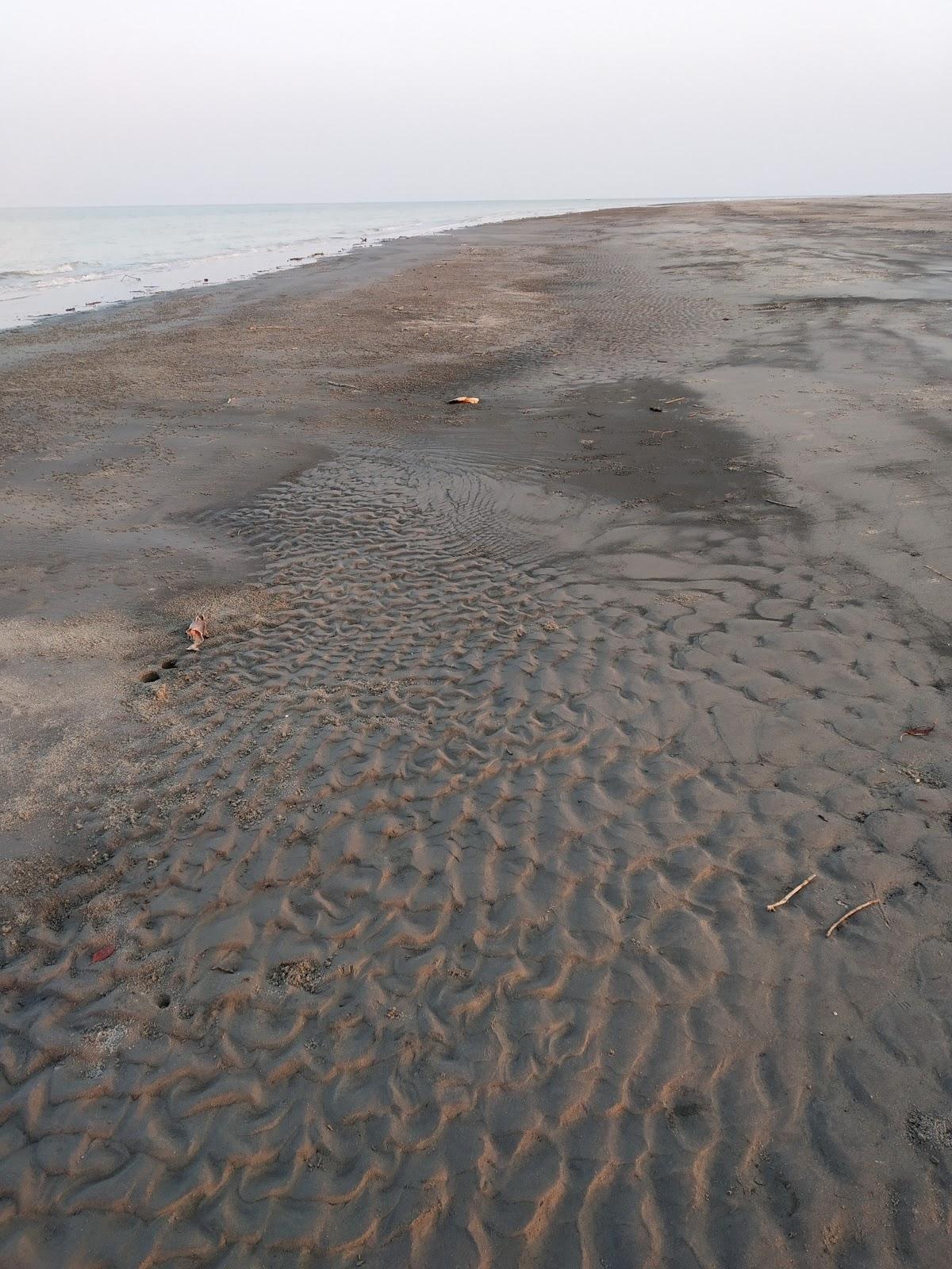 Sandee - Country / Sundarban