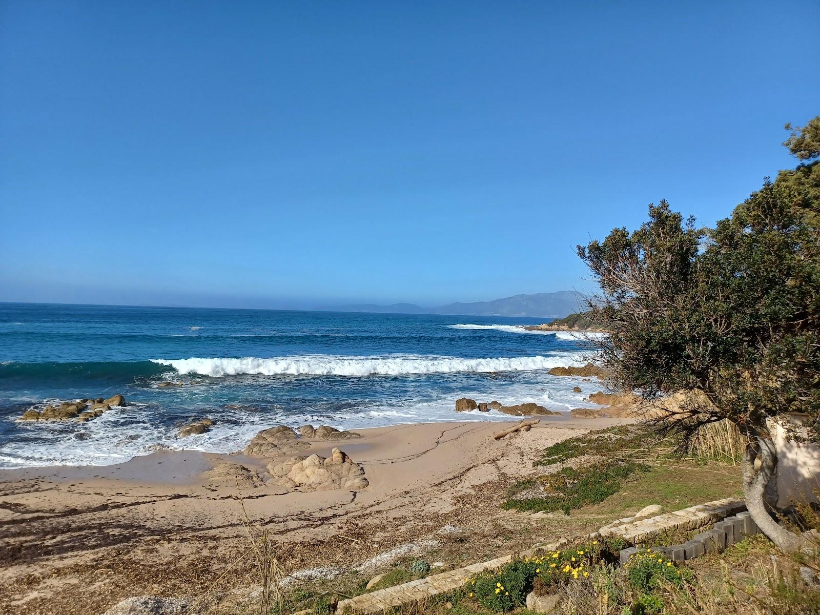 Sandee - Plage De Portigliolo