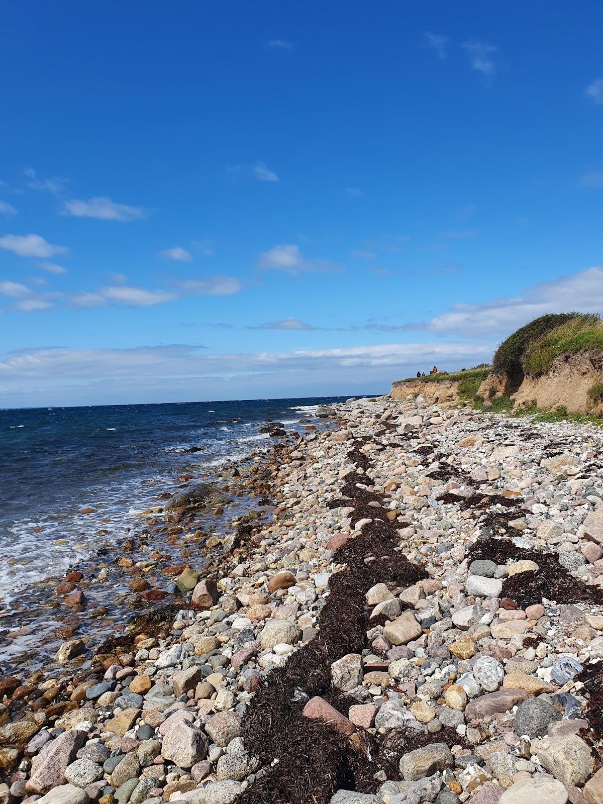 Sandee Fynshoved Strand