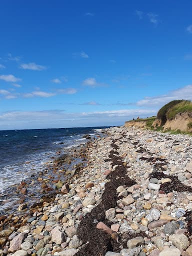 Sandee Fynshoved Strand Photo