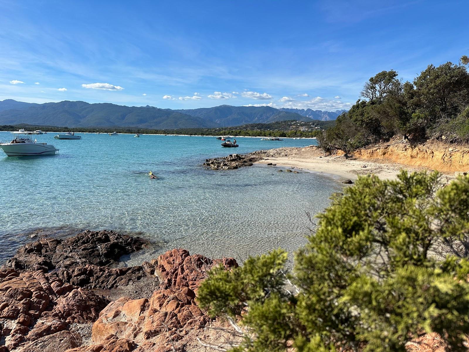 Sandee - Plage De La Punta San Ciprianu