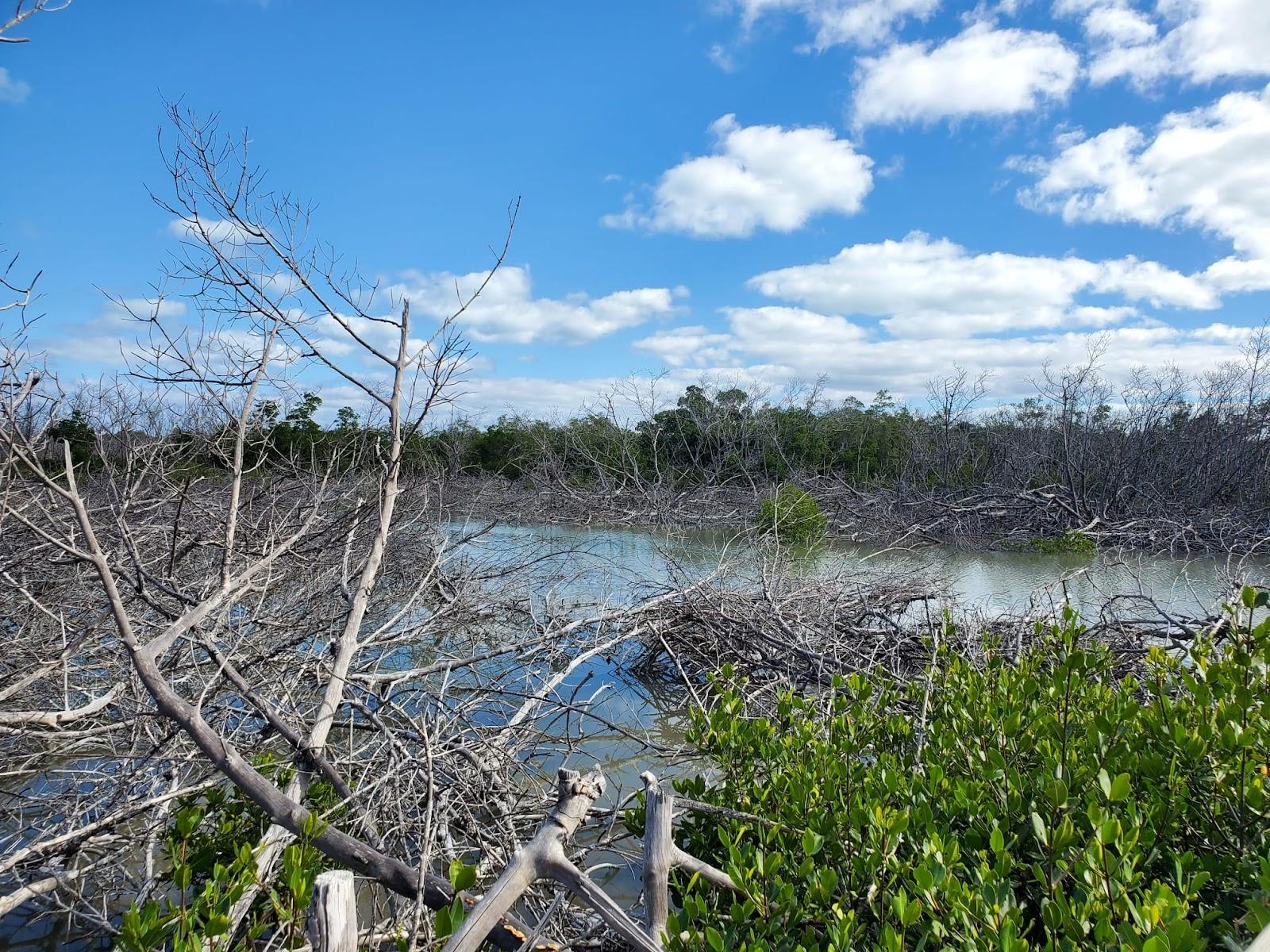 Sandee - Long Key State Park