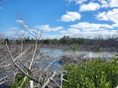 Sandee - Long Key State Park