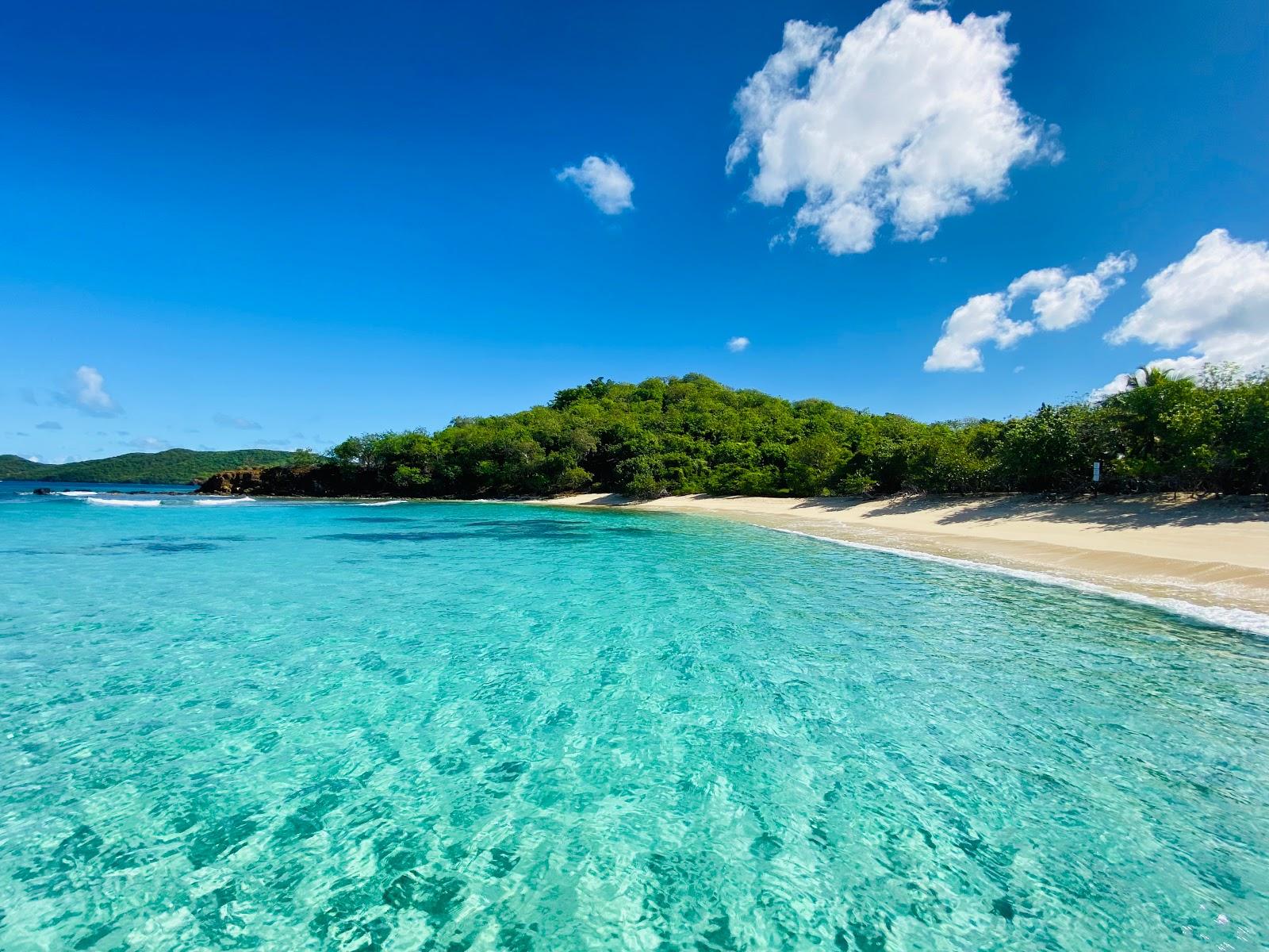 Sandee Luis Pena Cay Beach