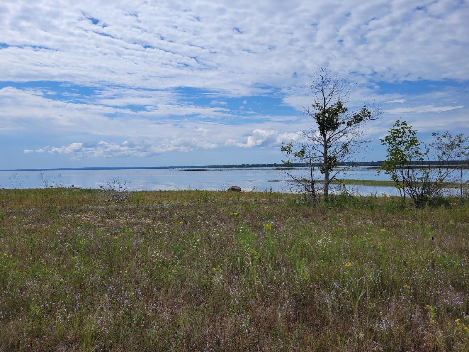 Sandee Partridge Point