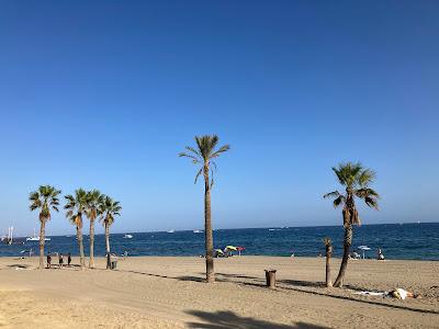 Sandee - Playa De Nagueles