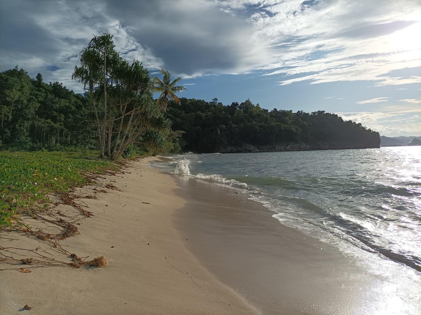 Sandee Pasir Iii Holtekamp Beach Photo