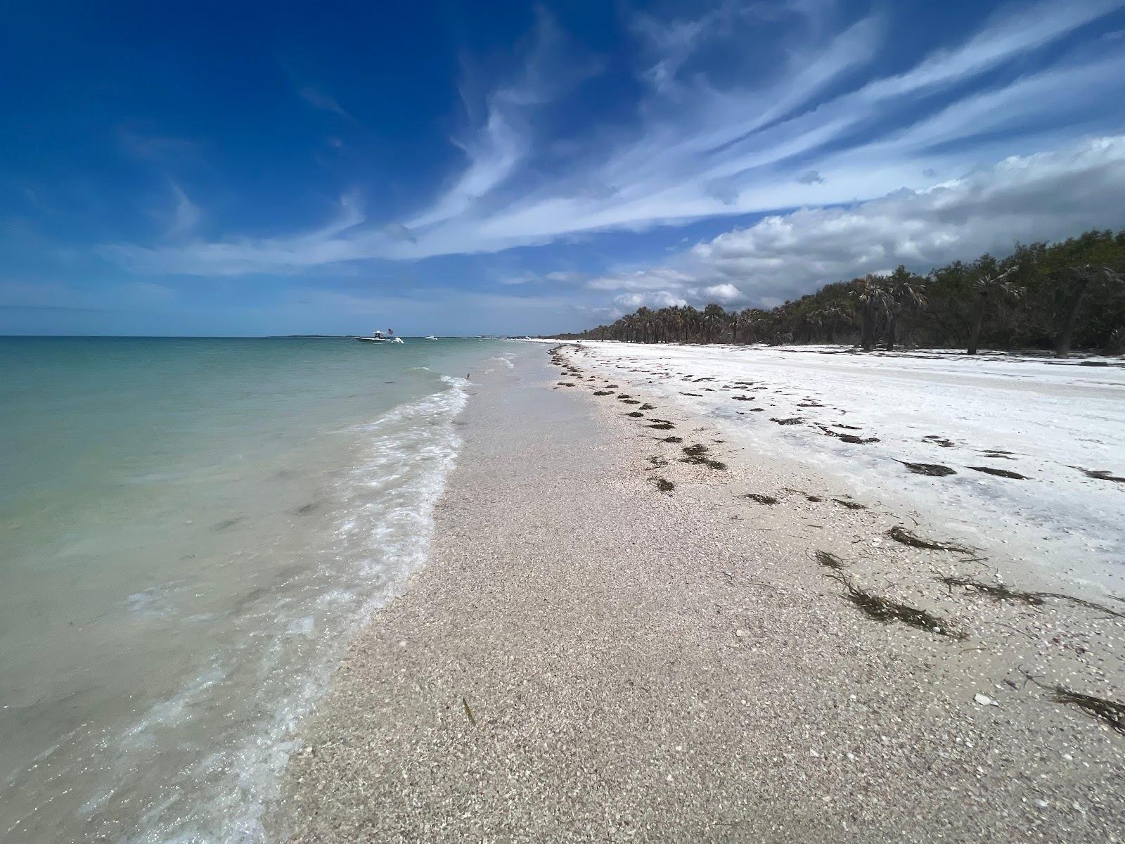 Sandee - Caladesi Island State Park Beach