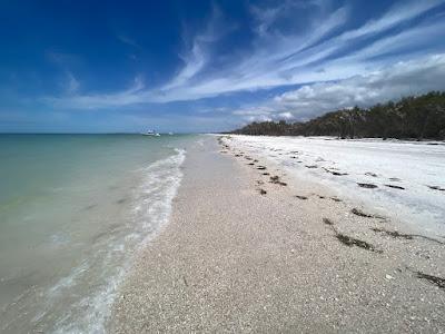 Sandee - Caladesi Island State Park Beach