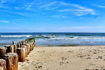 Sandee - Spring Lake Beach