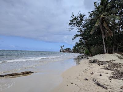 Sandee - Kaluanui Beach