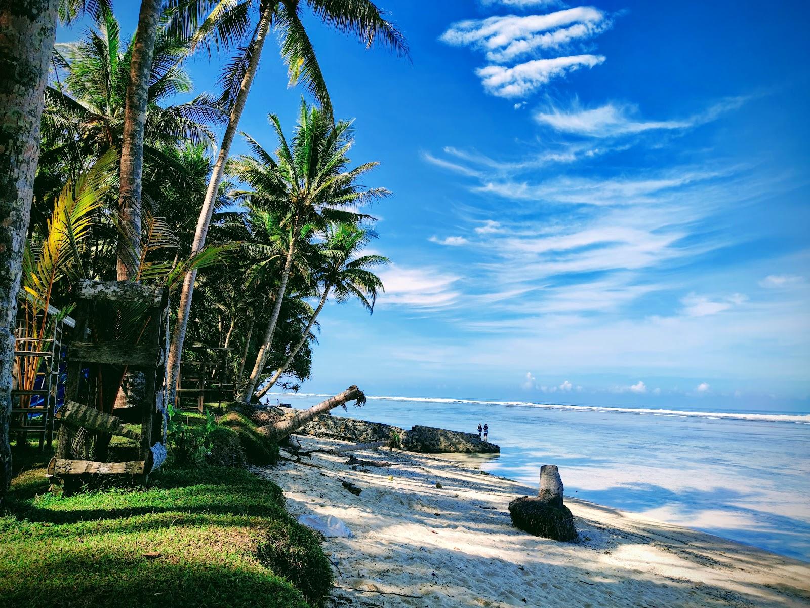 Sandee Cape Setia Beach