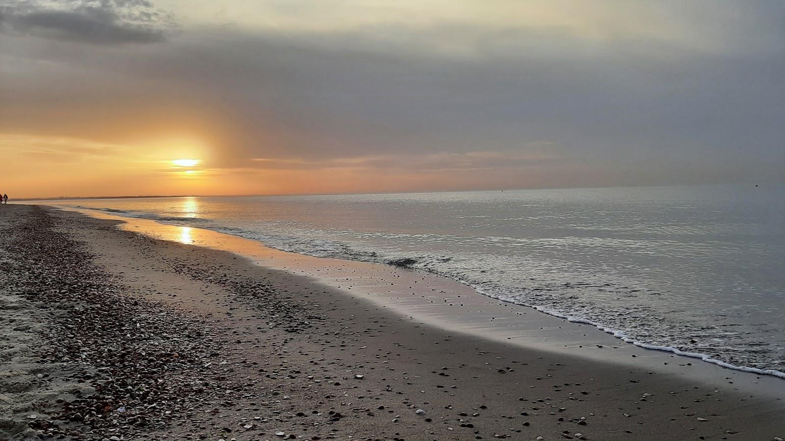 Sandee - Strand Bij Ouddorp