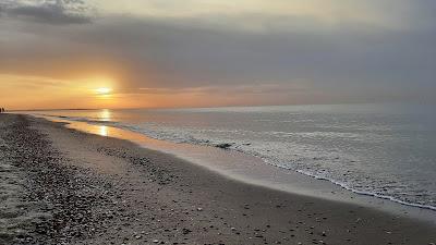 Sandee - Strand Bij Ouddorp