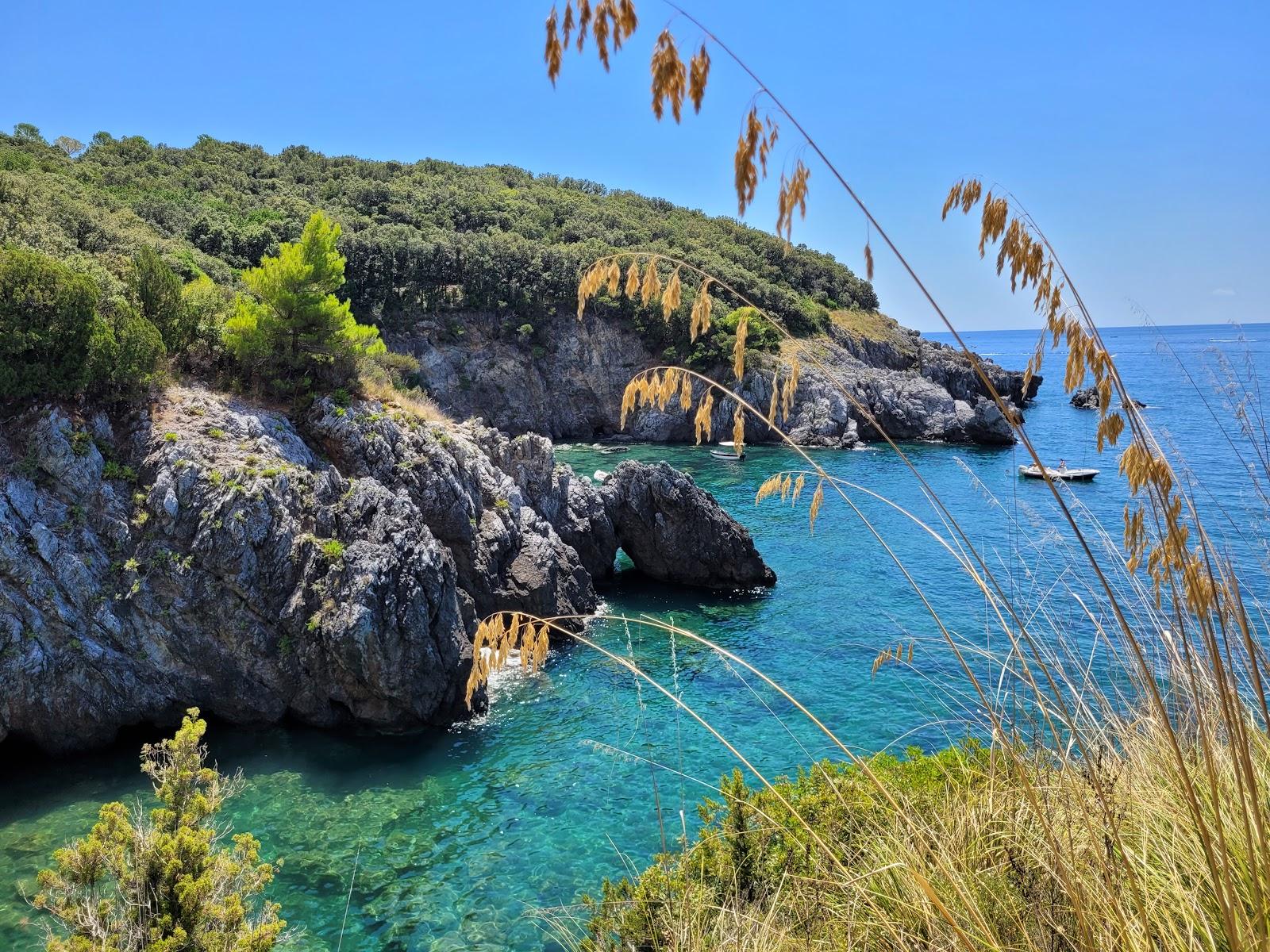 Sandee Spiaggia Cala Del Citro