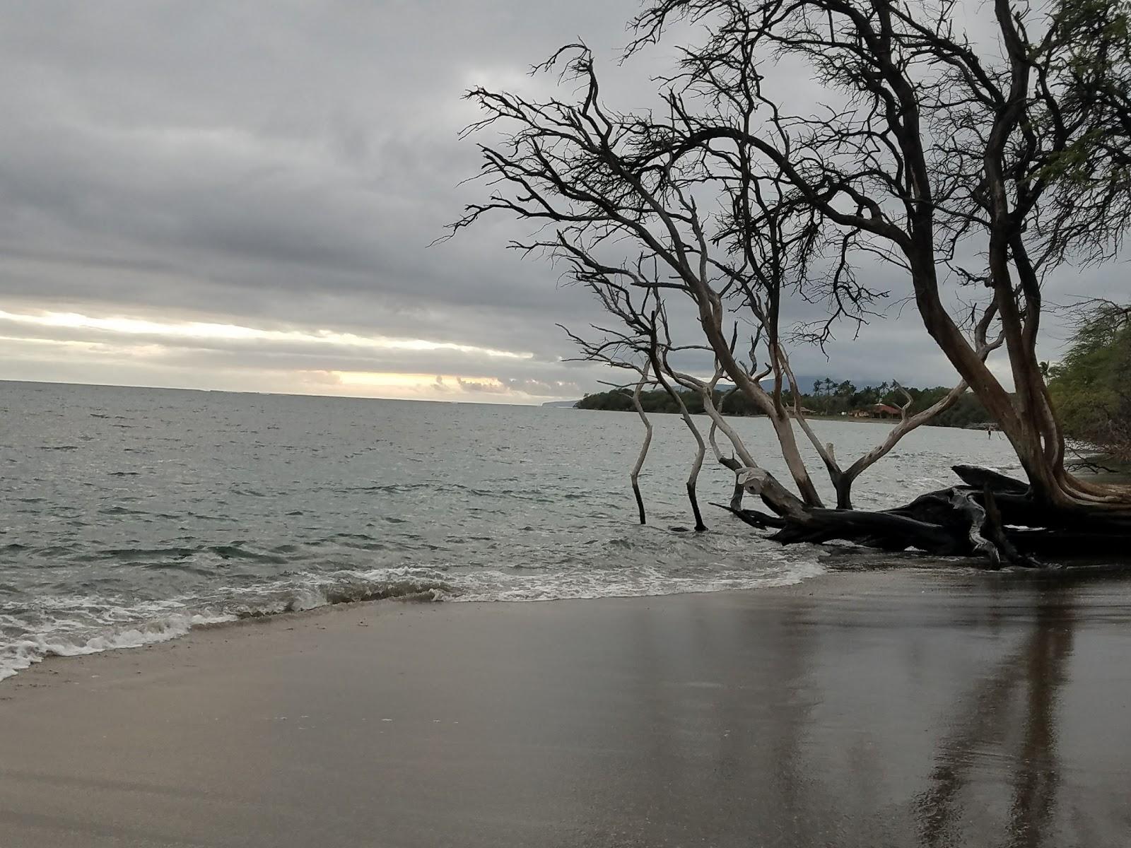 Sandee - Awalua Beach