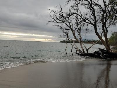 Sandee - Awalua Beach