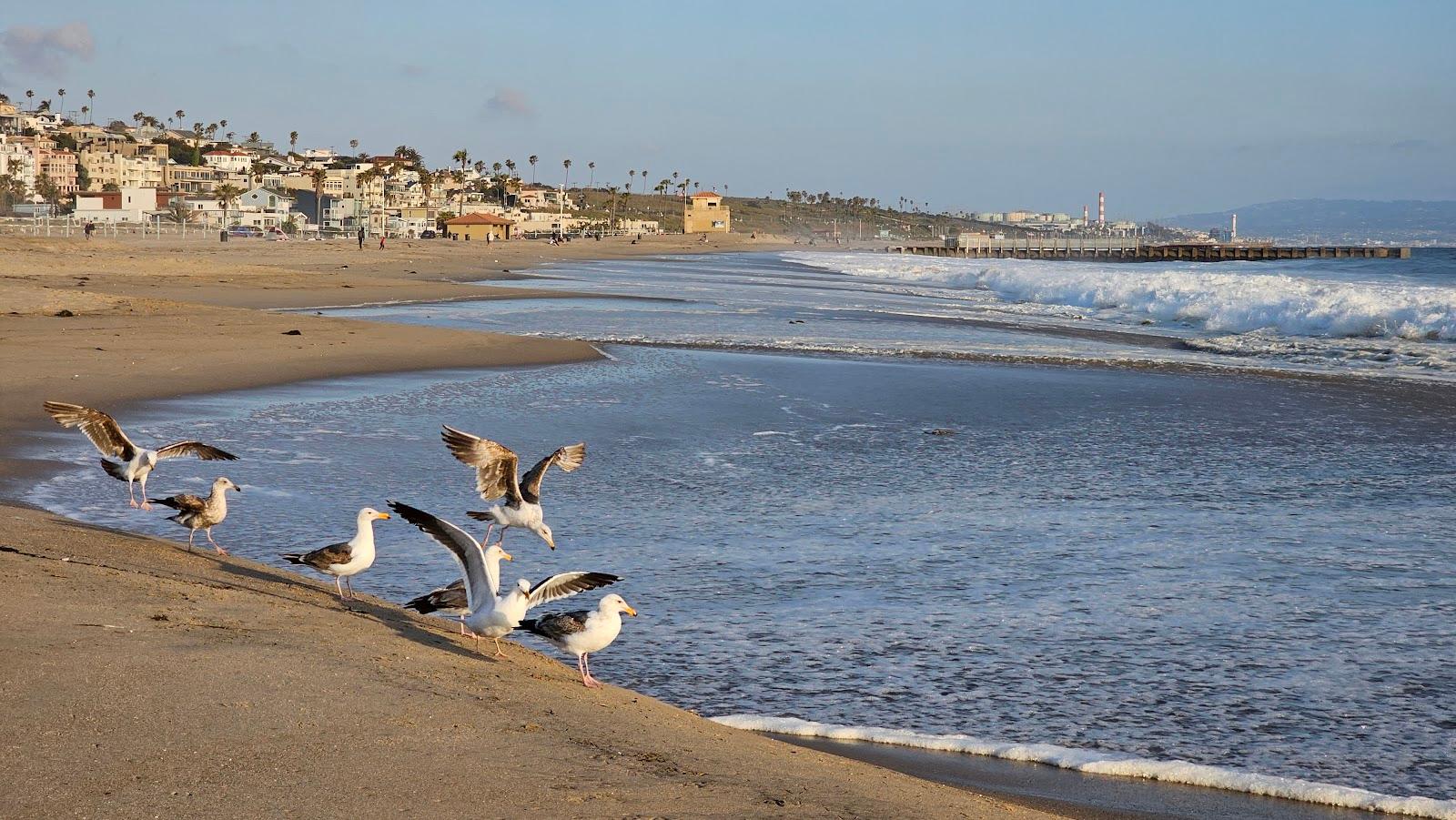 Sandee Toe Beach Photo