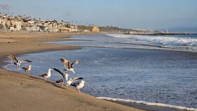 Sandee - Toe Beach