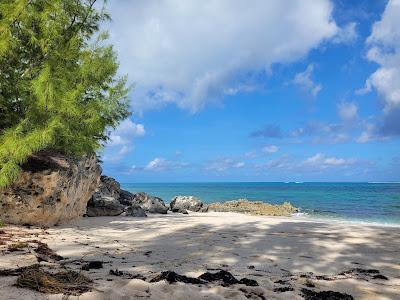 Sandee - Twin Cove Beach