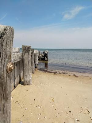 Sandee - Albert's Landing Beach