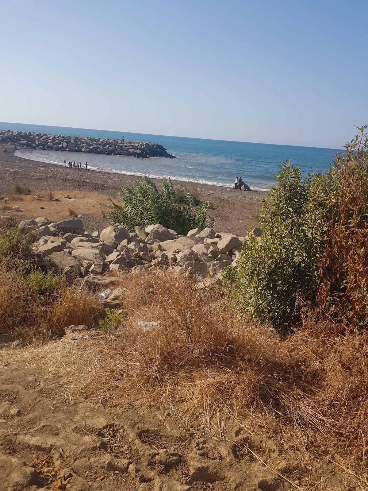 Sandee Ibiza Beach - Sacred Woods