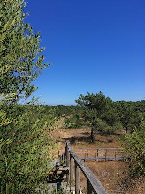 Sandee - Praia Das Dunas De Sao Jacinto