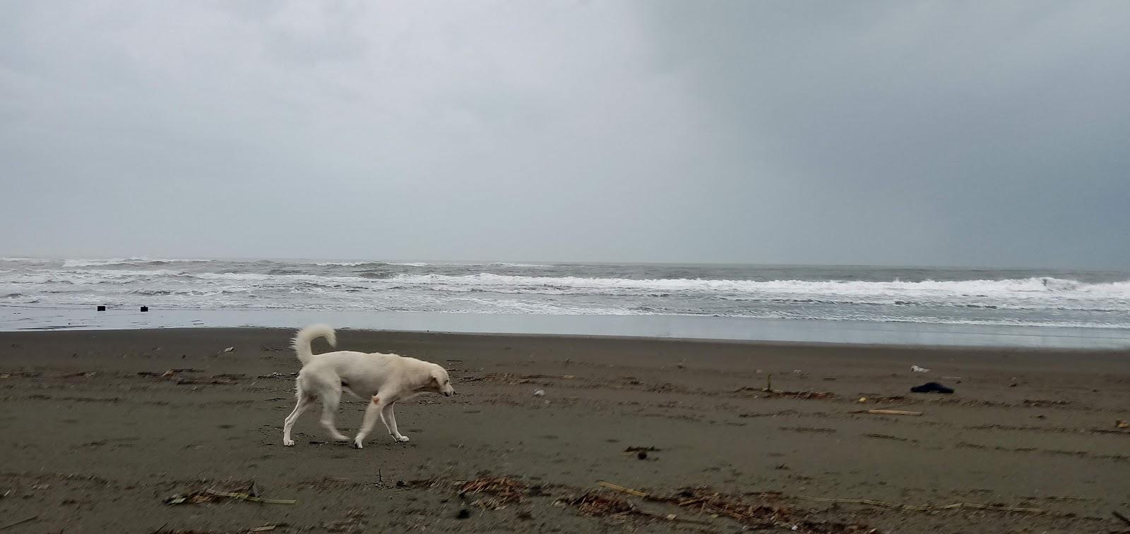 Sandee Tampisaw Sa Iba Beach Resort