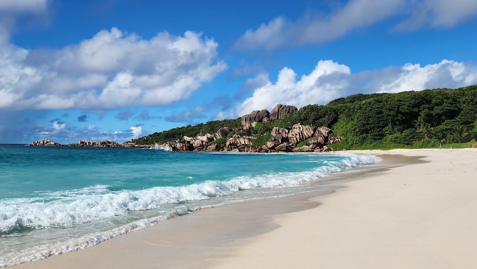 Sandee Tres Belle Plage