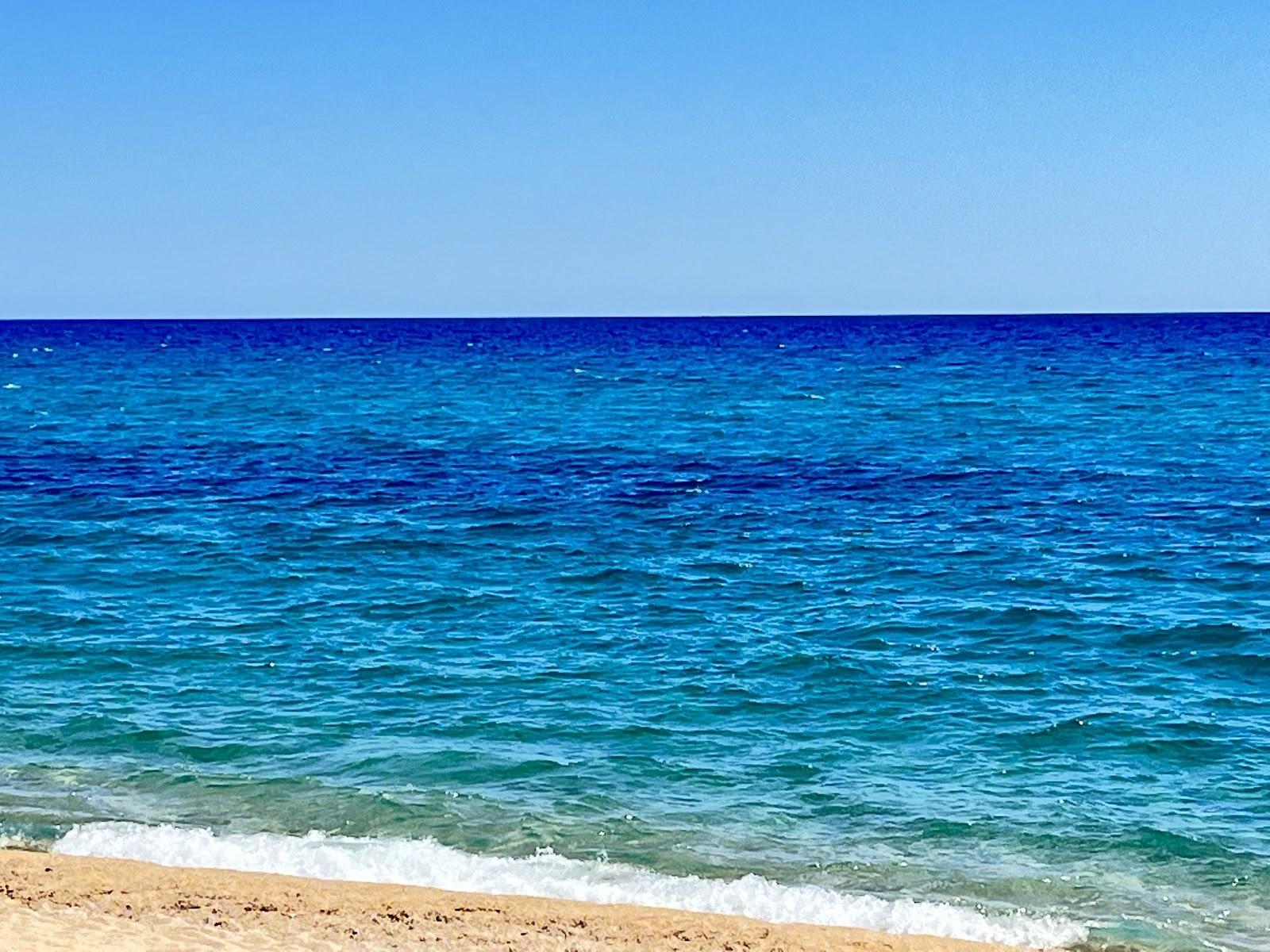 Sandee Spiaggia De Il Fico