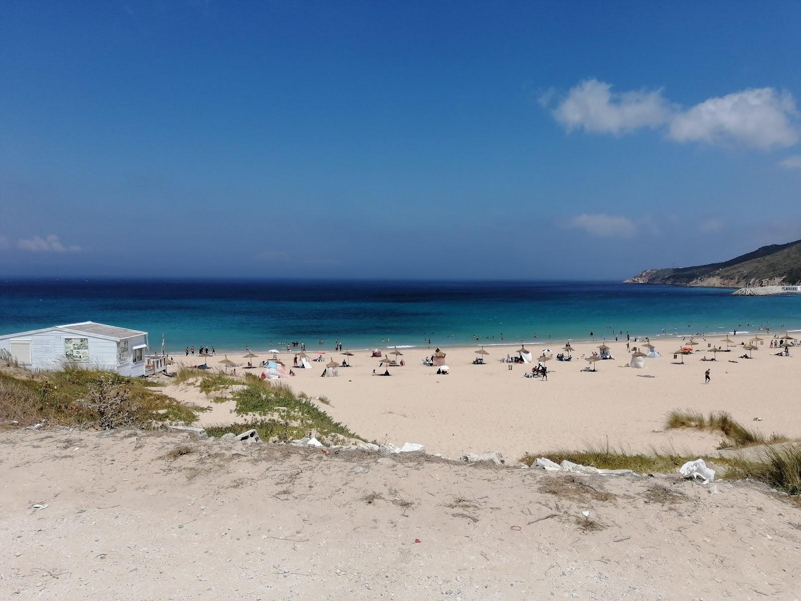 Sandee Ain Dalia Beach