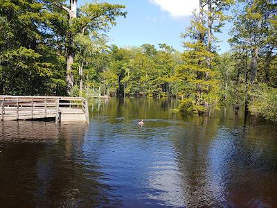 Sandee - Morrison Springs County Park