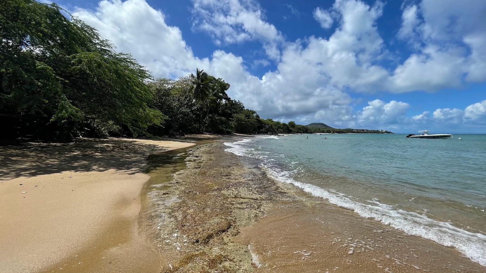 Sandee Sea Glass Beach Photo