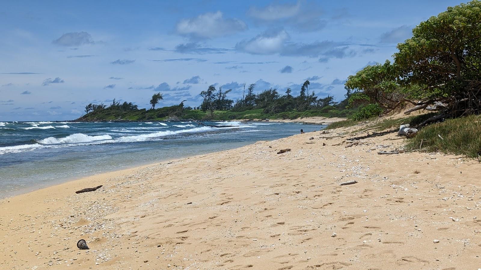 Sandee - Nukolii Beach Park