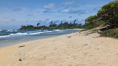 Sandee - Nukolii Beach Park