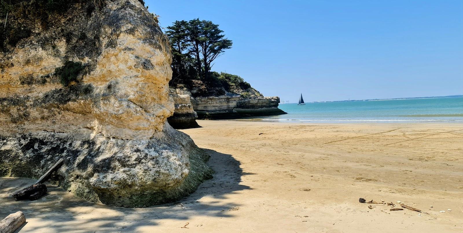 Sandee Plage De Suzac Photo