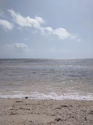 Sandee - Sea Oats Beach