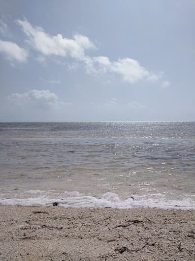 Sandee Sea Oats Beach Photo