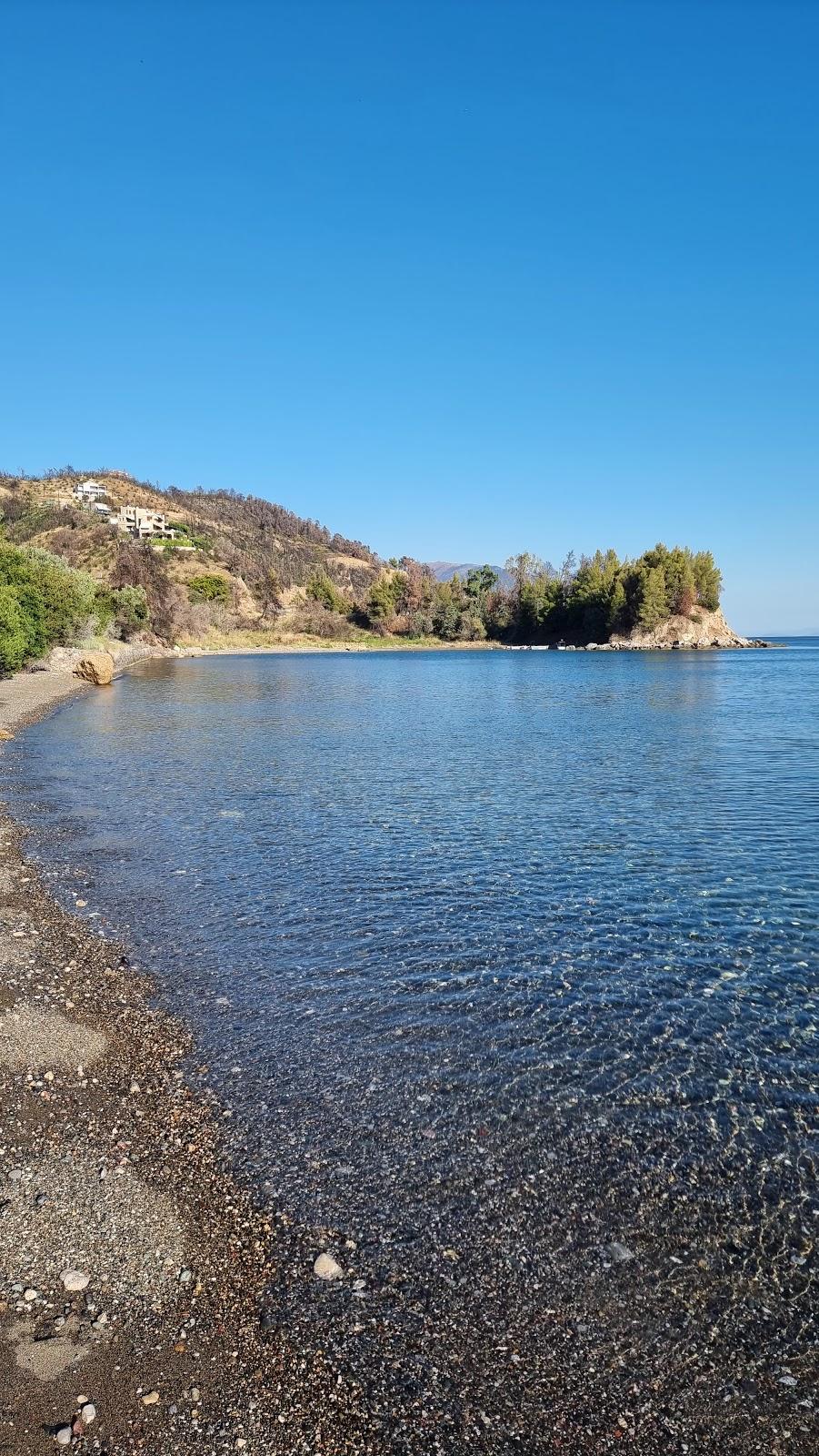 Sandee Cohili Beach