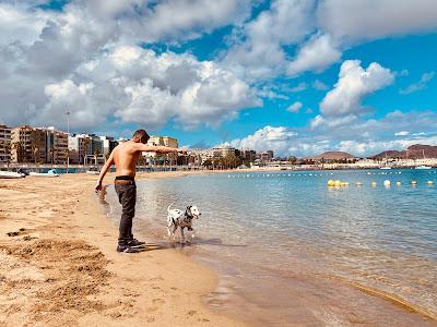 Sandee - Playa De Las Alcaravaneras