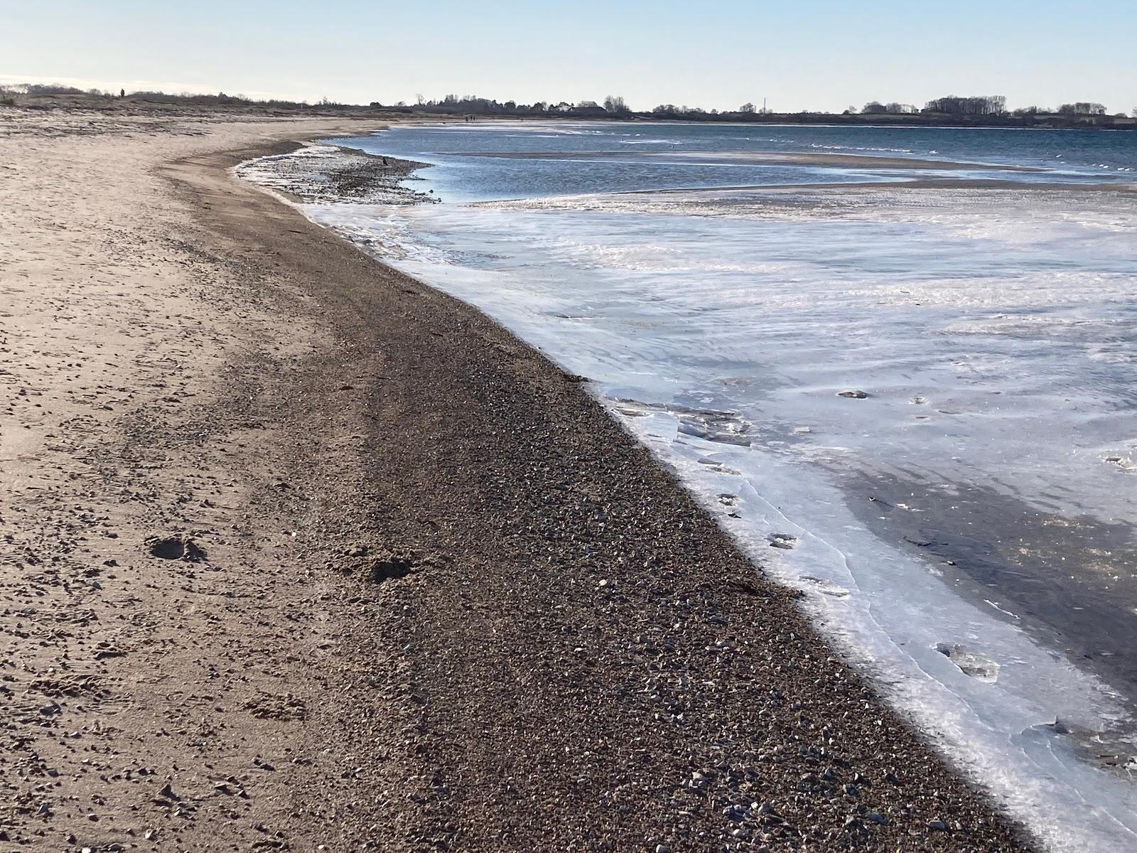 Sandee Vesterlyng Strand