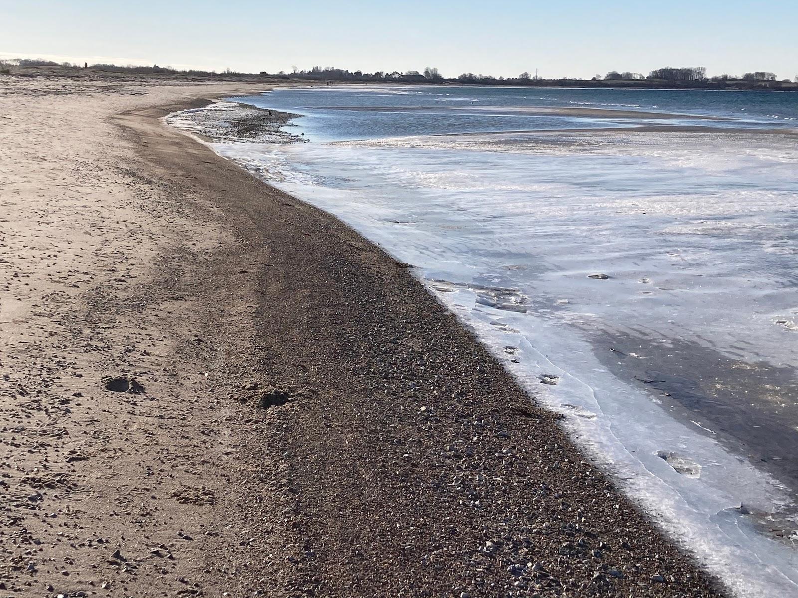 Sandee Vesterlyng Strand Photo